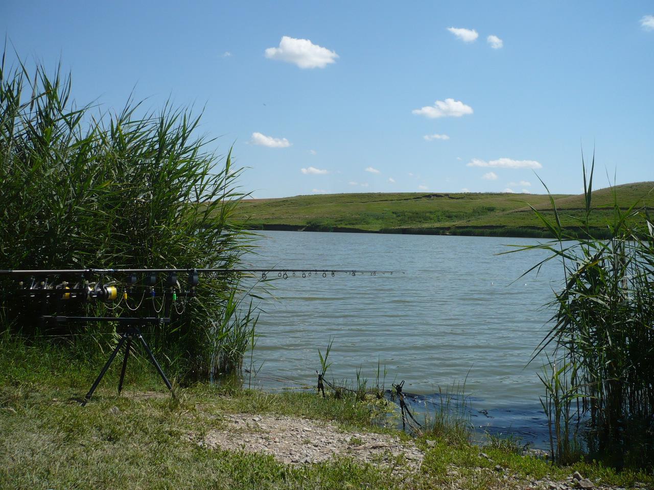 Cupa Carpbook Sulimanu 28-29 iunie 2014 - 17.JPG